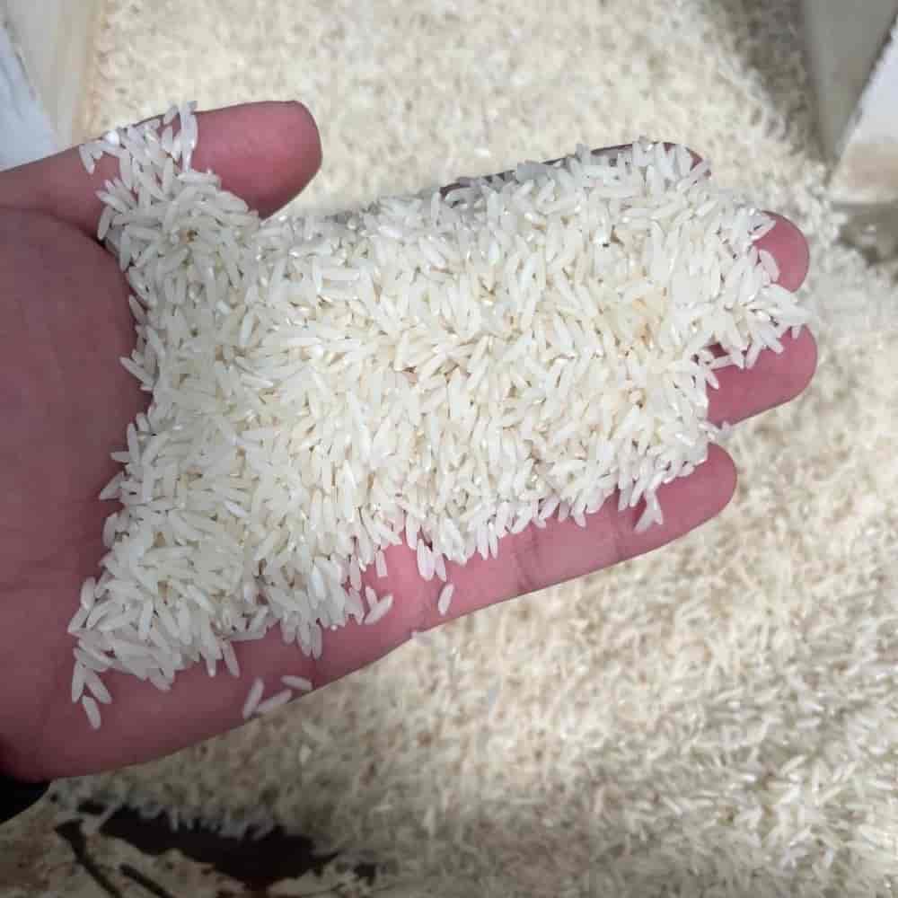 أرز الشمال