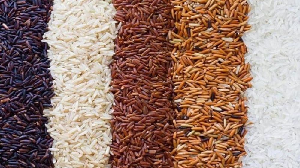 برنج کریم پور در مازندران