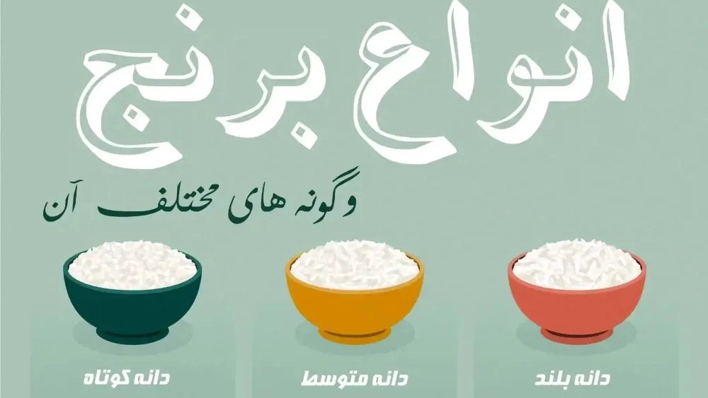 برنج کریم پور در مازندران برنج کریم پور در مازندران